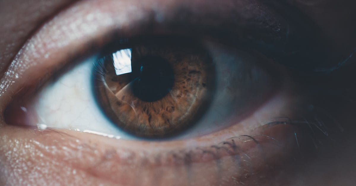 What is the eyeball icon over the troops in Rome 2 Total War? - Human Eye What is the eyeball icon over the troops in Rome 2 Total War? - Human Eye