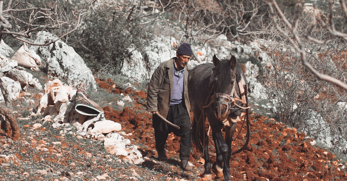 What is the fastest horse in Mount and Blade Warband? - Ethnic man with wooden stick strolling with mare in bridle on mount in daylight
