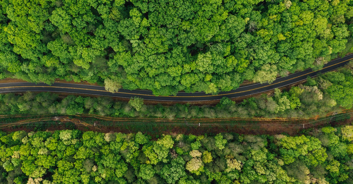 What is the fastest way through the early phases? - Narrow asphalt roadway amidst lush forest What is the fastest way through the early phases? - Narrow asphalt roadway amidst lush forest