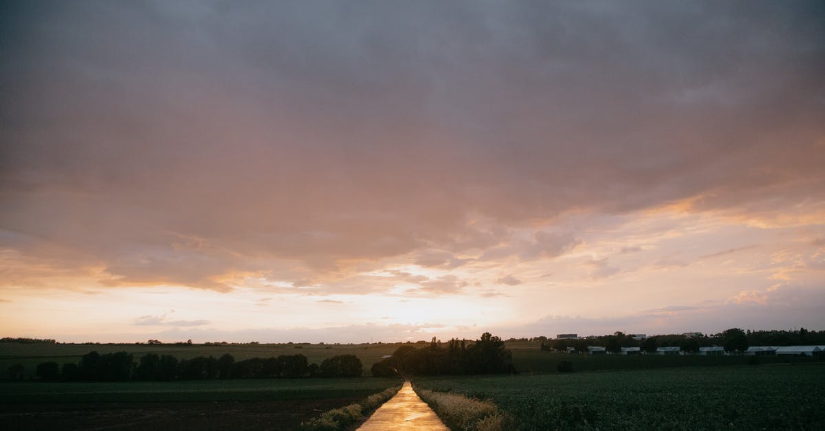 What is the fastest way to get the Accelerated Production achievement? - Long walkway going through grassy agricultural plantation planted with crops in village at sunset What is the fastest way to get the Accelerated Production achievement? - Long walkway going through grassy agricultural plantation planted with crops in village at sunset