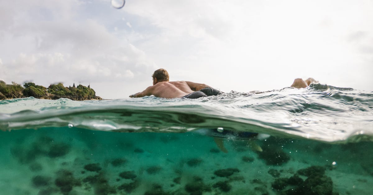 What is the maximum paragon level? - Woman in Body of Water