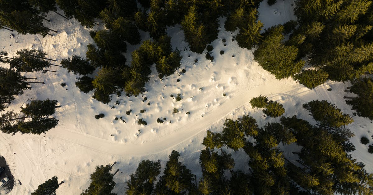 What is the meaning of Separation Radius for ground units? - Pine Trees on Snow Covered Ground What is the meaning of Separation Radius for ground units? - Pine Trees on Snow Covered Ground