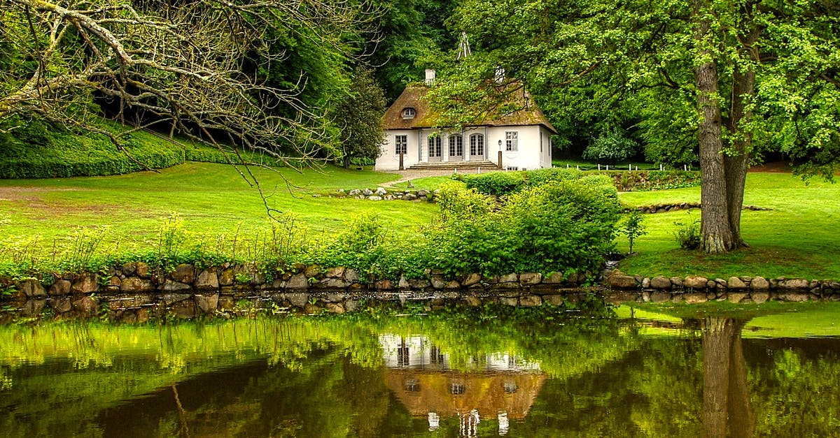 What is the mininum number of normal trees that still allow all the daily spawnables to appear? - White and Brown House Surrounded by Trees