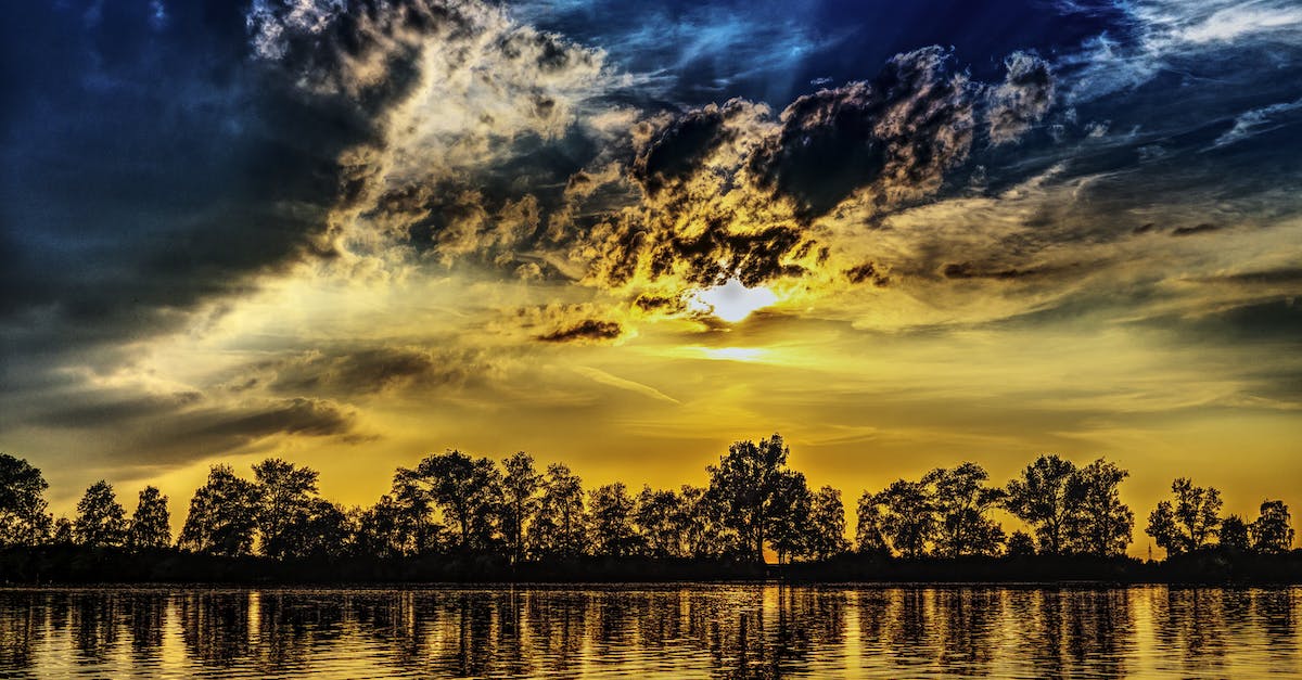 What is the mininum number of normal trees that still allow all the daily spawnables to appear? - Body of Water during Sunset