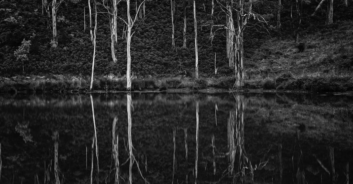 What is the mininum number of normal trees that still allow all the daily spawnables to appear? - Grayscale Photo of Trees and Body of Water