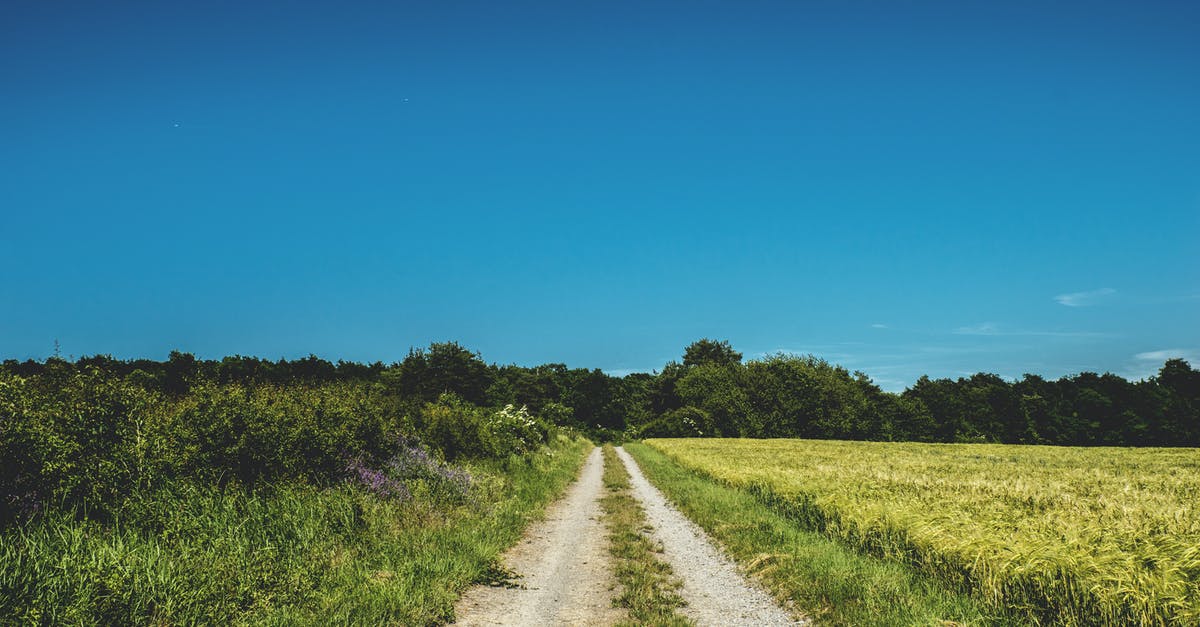 What is the most effective way to farm TMRs? - Road in Between of Grasslands What is the most effective way to farm TMRs? - Road in Between of Grasslands