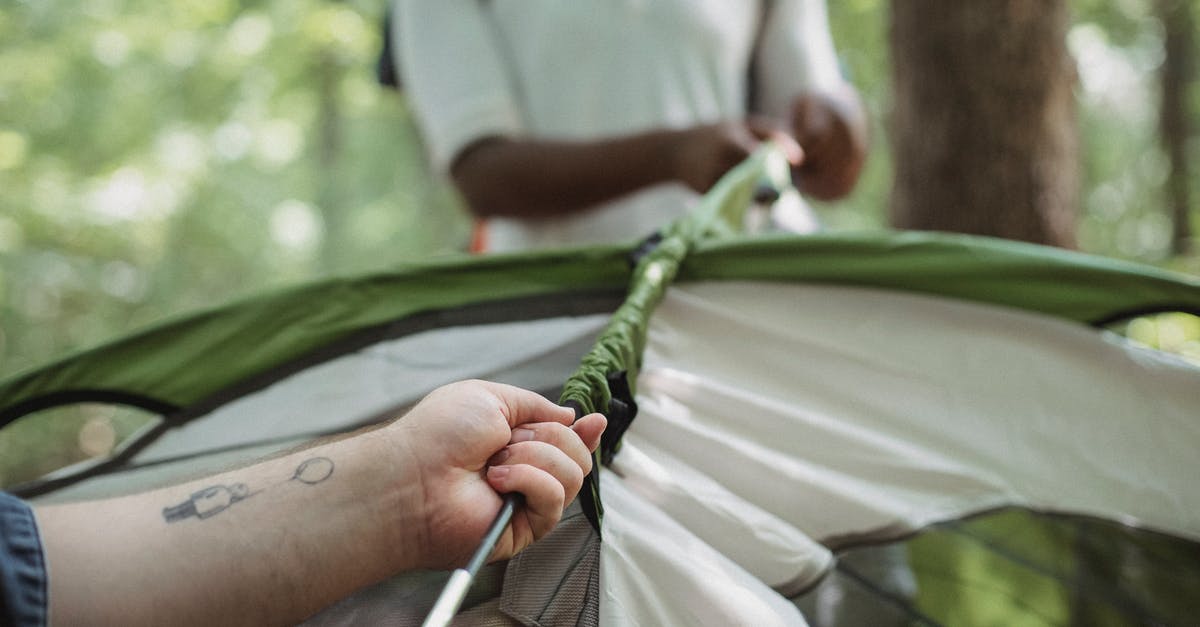 What is the most effective way to help a friend leveling up? - Crop multiracial friends setting up tent in woods What is the most effective way to help a friend leveling up? - Crop multiracial friends setting up tent in woods