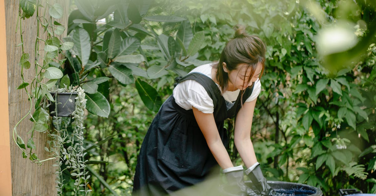 What is the most efficient technique to spread creep across a map? - Young ethnic female artisan in gloves demonstrating shibori technique while painting cloth in basin with water in garden