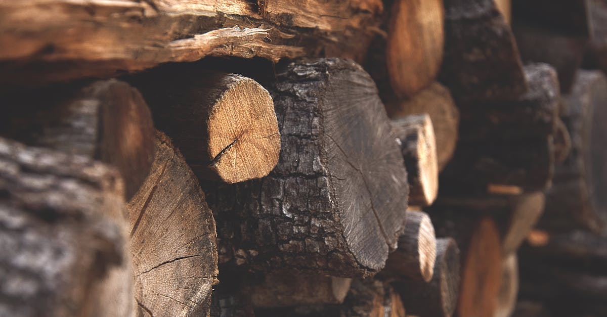 What is the most efficient wood based fuel? - Brown Firewood