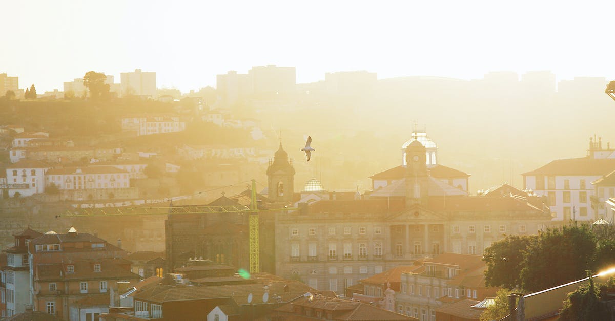 What is the name of Bastion's bird friend? - White Building Under White Sky