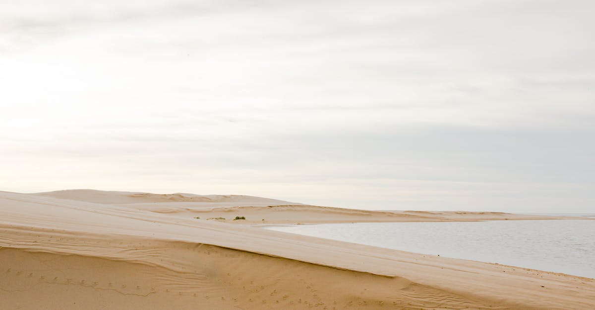 What is the newest version of Minecraft that still has Soul Sand features? - Spectacular sandy shore washed by calm water of vast ocean under cloudy sky in sunrise What is the newest version of Minecraft that still has Soul Sand features? - Spectacular sandy shore washed by calm water of vast ocean under cloudy sky in sunrise