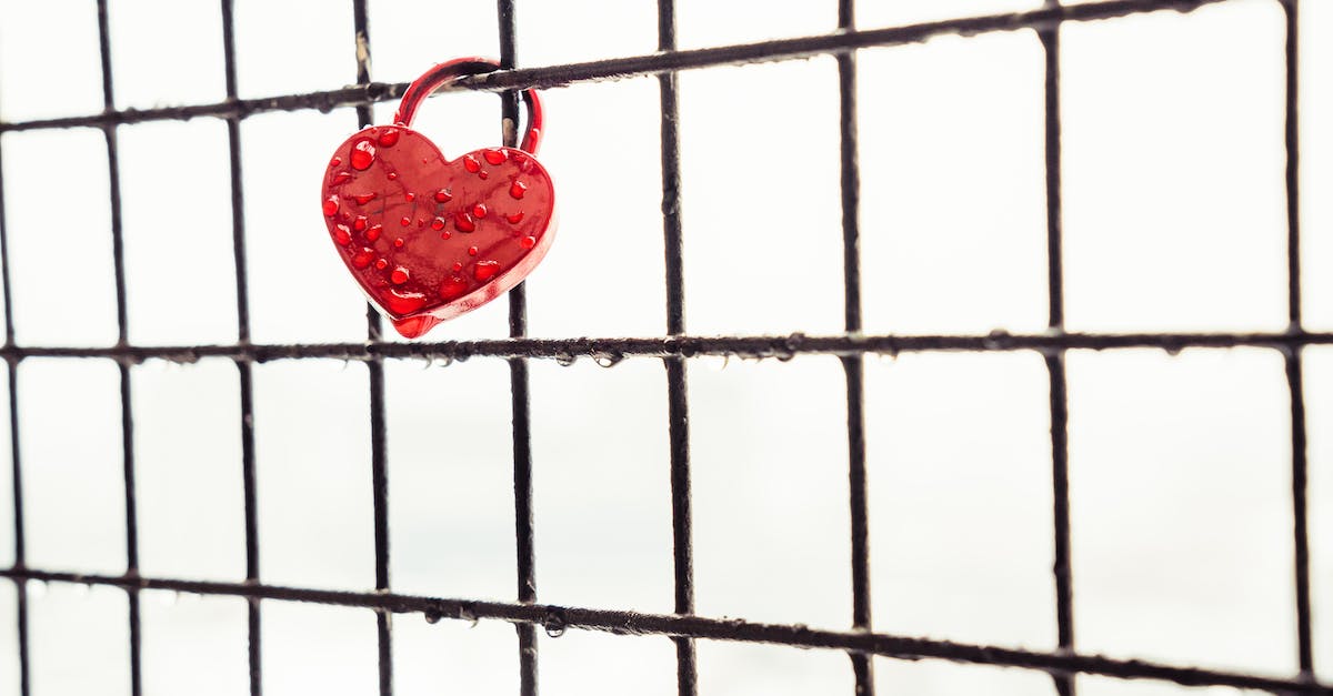 What is the optimal grid size? - Red Heart Padlock on Black Metal Fence What is the optimal grid size? - Red Heart Padlock on Black Metal Fence