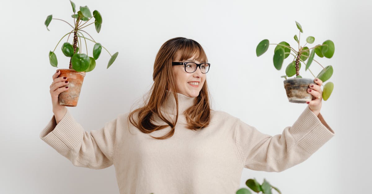 What is the Optimal Ports Loadout for Missionary and Occultist Special Voyages - Woman in White Sweater Holding Green Plant What is the Optimal Ports Loadout for Missionary and Occultist Special Voyages - Woman in White Sweater Holding Green Plant
