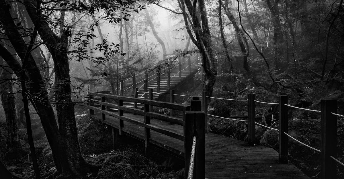 What is the particle trail for in Genshin Impact? - Wooden Trail in Forest What is the particle trail for in Genshin Impact? - Wooden Trail in Forest