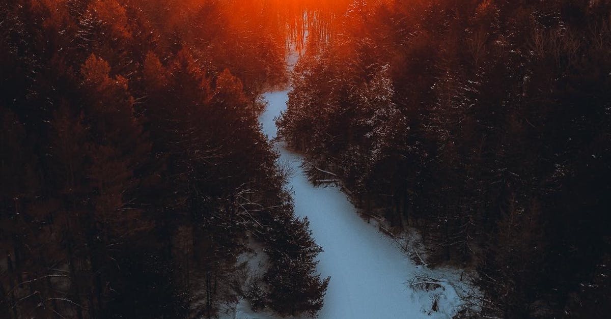 What is the particle trail for in Genshin Impact? - Green Trees on Snow Covered Ground during Sunset What is the particle trail for in Genshin Impact? - Green Trees on Snow Covered Ground during Sunset