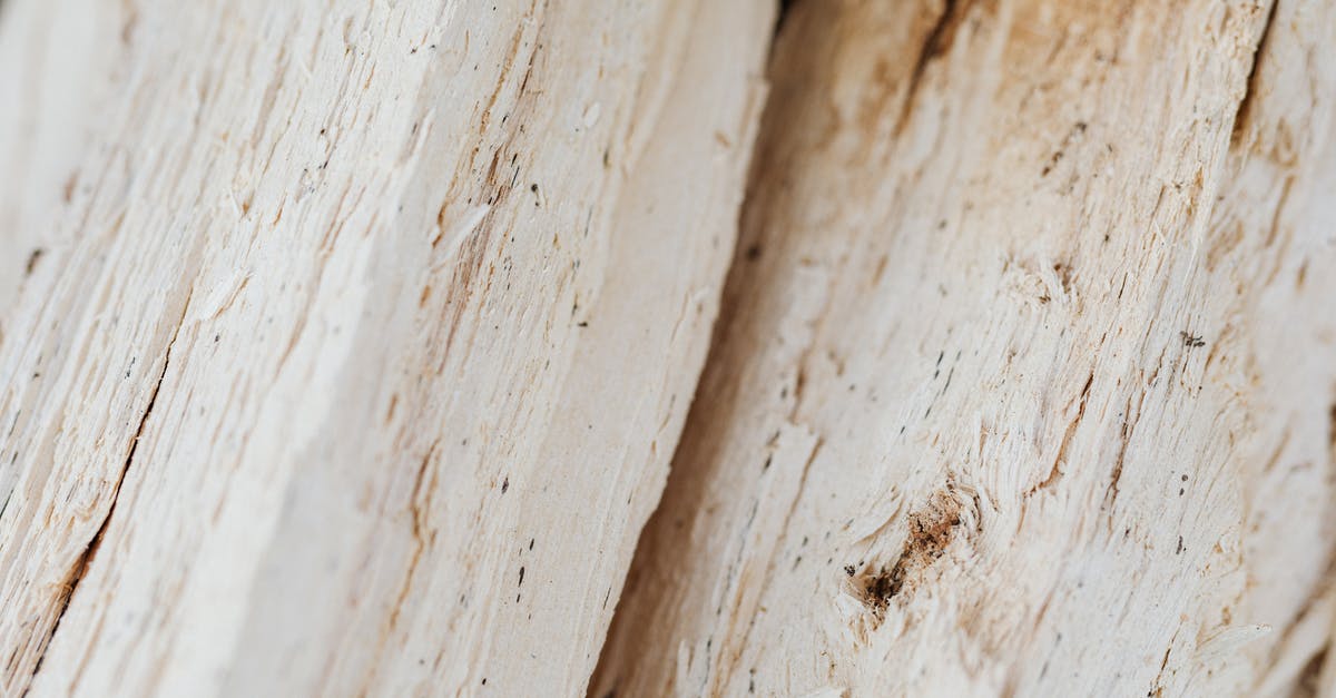 What is the percentage of chance a Tree Ent will spawn when a tree is chopped down? - Texture of recently chopped firewood in countryside