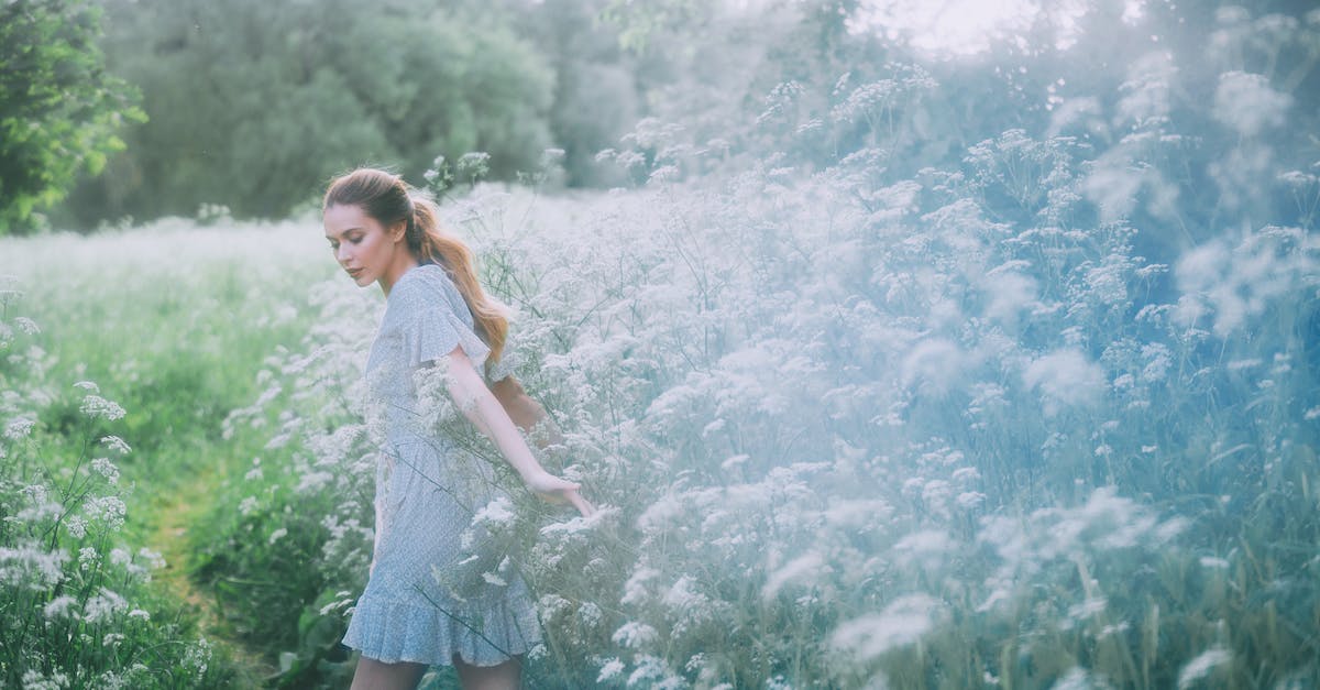 What is the percentage of chance a Tree Ent will spawn when a tree is chopped down? - Gentle woman walking on path in field with blooming flowers