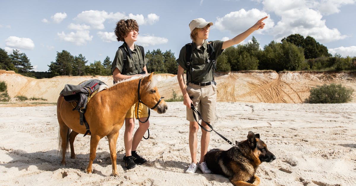 What is the point of Speed-changing moves in Pokemon? - Scouts with a Mule and a Dog Pointing a Direction