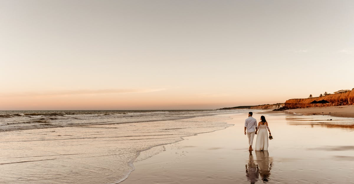 What is the purpose of Pokemon moves, Celebrate and Hold Hands? - Back view of barefoot groom holding hand of bride in white dress and walking together on sandy coast