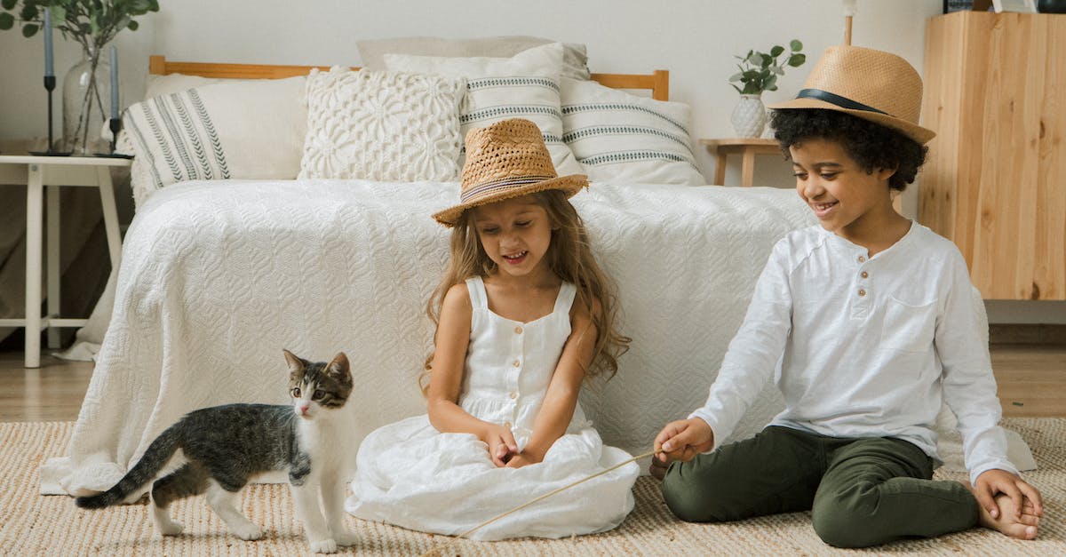 What is the purpose of "playing shop" with the little girl on the island in Animal Crossing New Leaf? - Kids Sitting on Floor in Bedroom and Playing with Cat