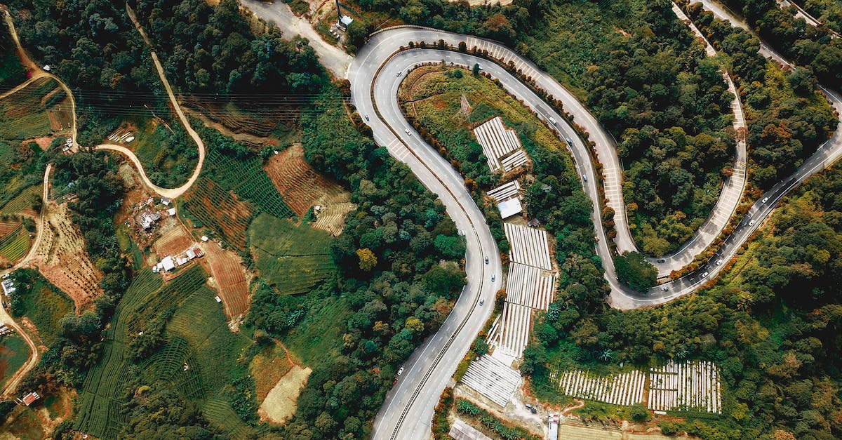 What is the quickest way to farm 1 million bolts? - Curve road through green forest in countryside What is the quickest way to farm 1 million bolts? - Curve road through green forest in countryside