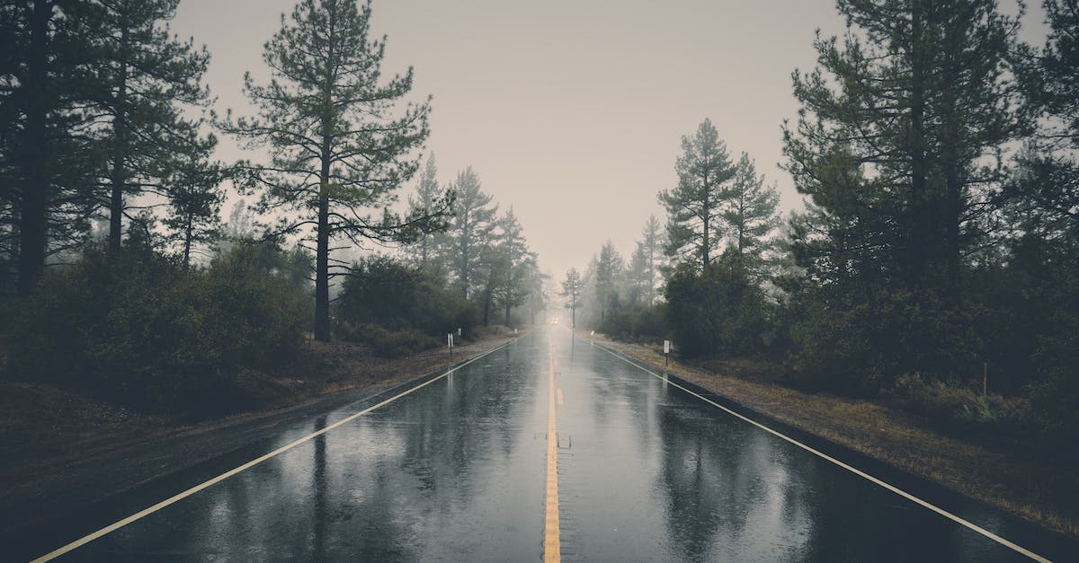 What is the quickest way to kill everybody? - Road Between Pine Trees