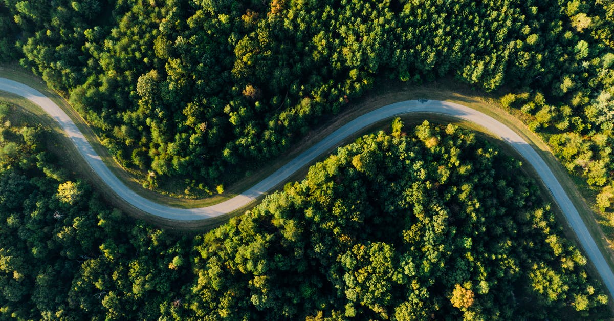 What is the recommended upgrade path from Wii and 3DS to Wii U? - Aerial Photo of Empty Meandering Road In Between Forest What is the recommended upgrade path from Wii and 3DS to Wii U? - Aerial Photo of Empty Meandering Road In Between Forest