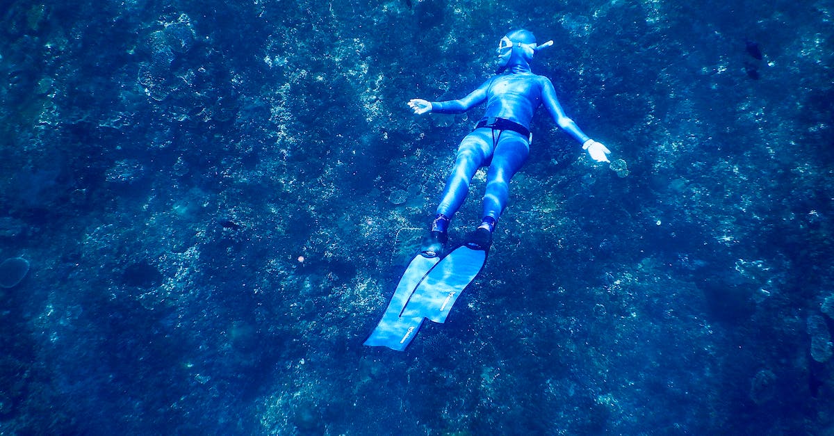 What is the smallest body of water I can fish from? - From above of anonymous diver in wet suit and flippers exploring coral reefs while swimming underwater of clear blue sea