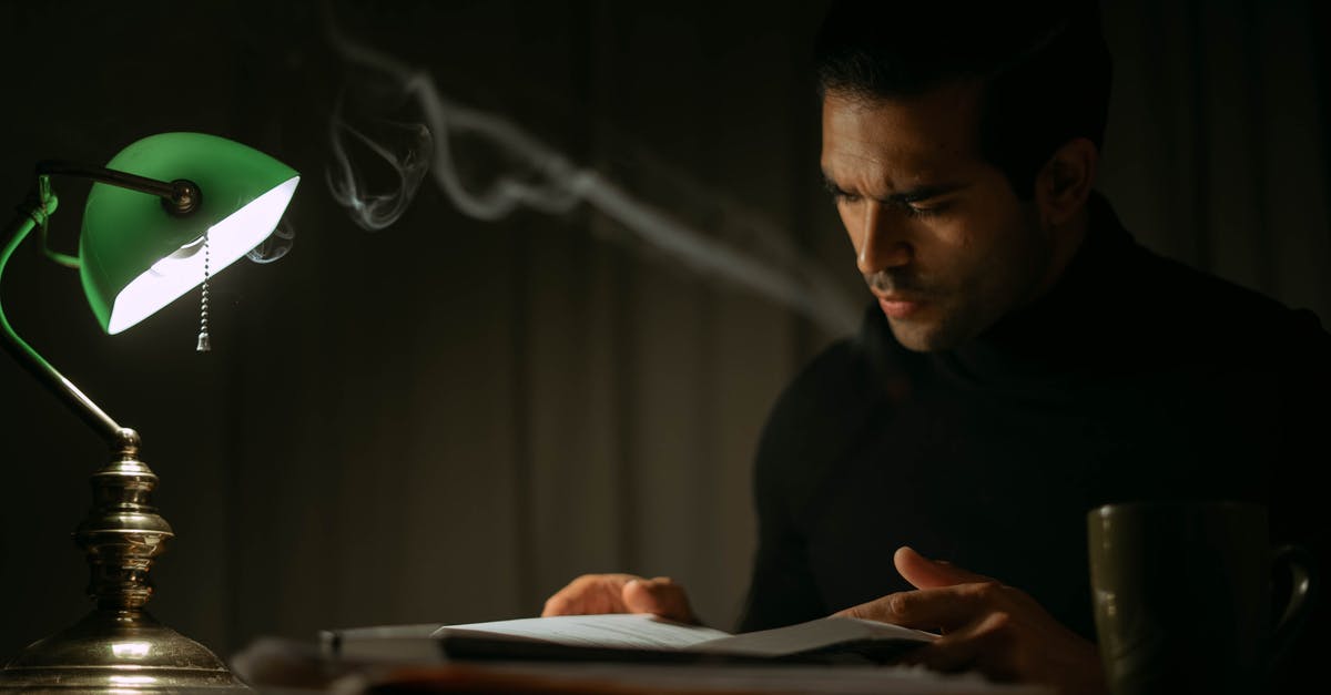 What is the story in Harry the Handsome Executive? - Pondering young male in black sweater reading book while sitting at desk with papers and green bankers lamp in dark home office