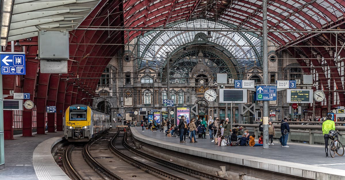 What is the terminal velocity of a sheep? - People Walking on Train Station