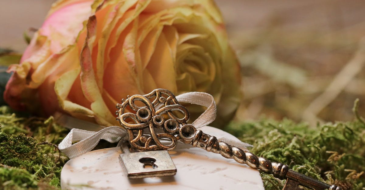 What is the use of enemy's portal key - Close Up of Leaf