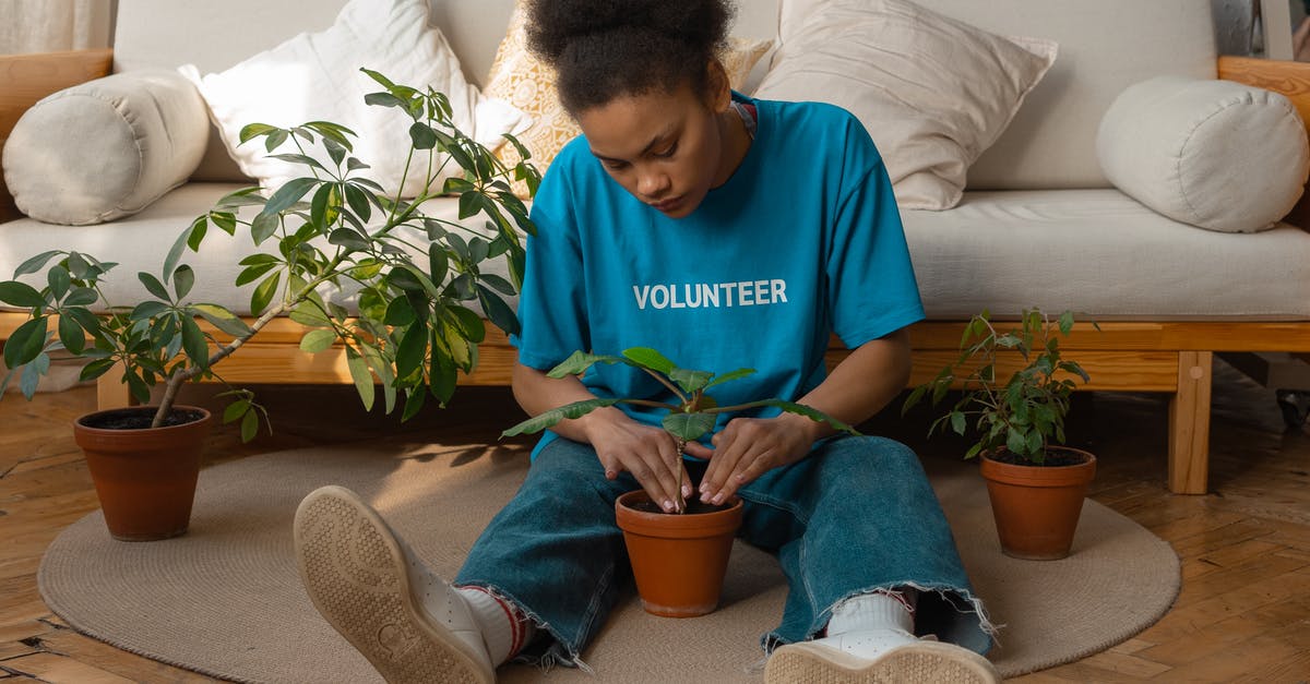 What is there to gain when helping people with bosses? - Woman in Blue Crew Neck T-shirt and Blue Denim Jeans Sitting on Brown Sofa