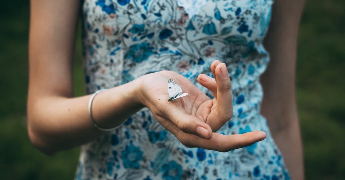 What is this blue butterfly? - Close up of woman holding butterfly What is this blue butterfly? - Close up of woman holding butterfly