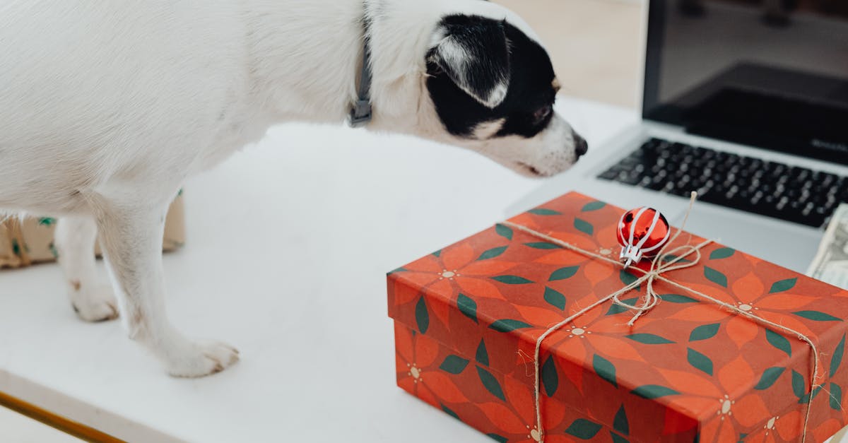 What is this dog sniffing out here? - White and Black Short Coated Dog on Red and White Gift Box What is this dog sniffing out here? - White and Black Short Coated Dog on Red and White Gift Box