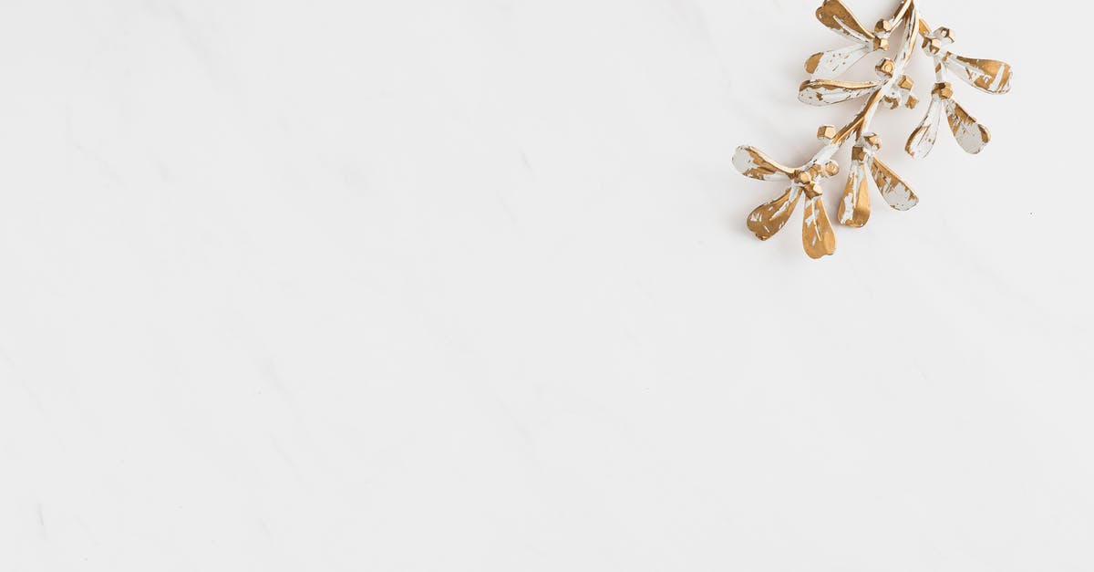 What is this golden sword? - Brown and White Flower on White Textile What is this golden sword? - Brown and White Flower on White Textile