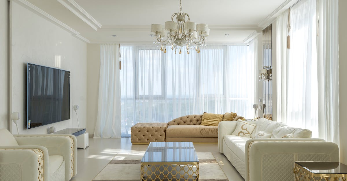 What is this large room with an assortment of monsters, a swarm of bees, and some items? - Interior of spacious room with huge windows behind curtains and comfortable furniture against TV set