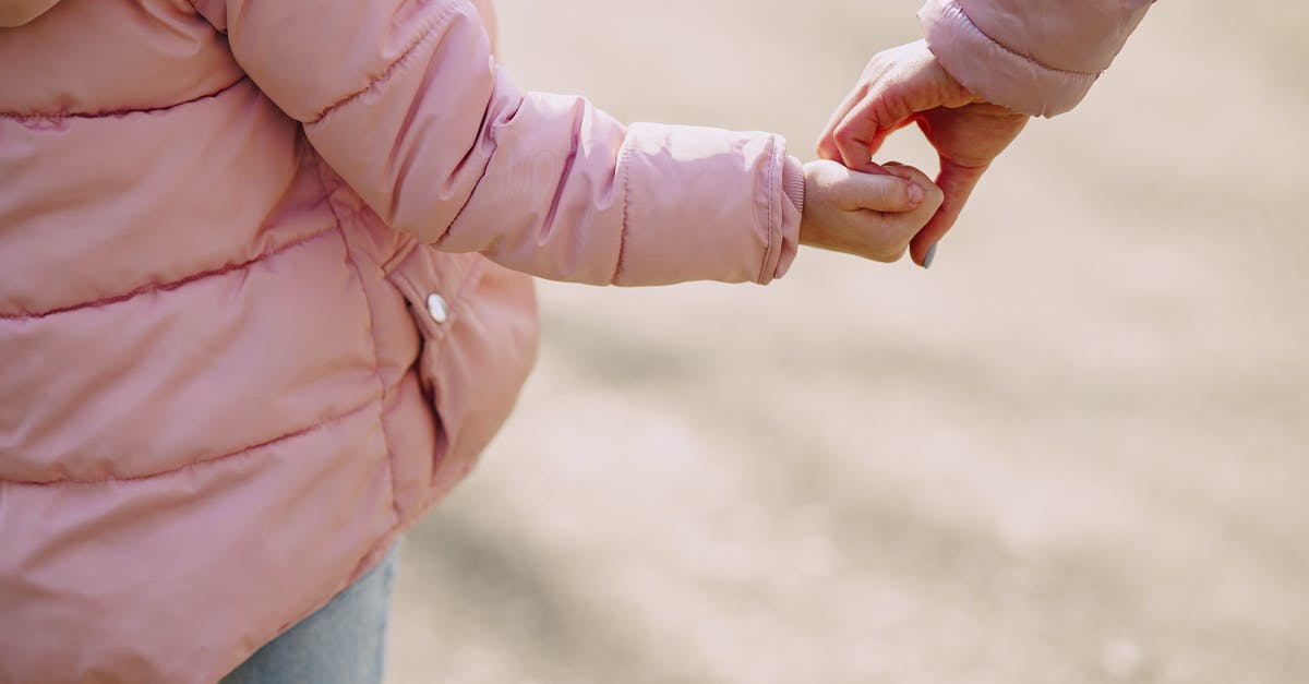 What is this little fenced off area in Rustboro City for in ORAS? - Back view of unrecognizable little girl wearing warm pink jacket holding hands with crop young woman while spending time together in city outside illustrating mother care and support concept What is this little fenced off area in Rustboro City for in ORAS? - Back view of unrecognizable little girl wearing warm pink jacket holding hands with crop young woman while spending time together in city outside illustrating mother care and support concept