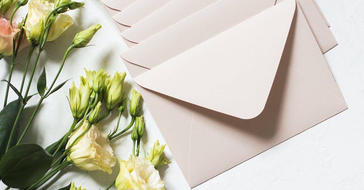 What is this message when somebody wants to send gift money with my item? - From above of rows of light beige envelopes by white and pink delicate roses on stems with dark green leaves in daylight
