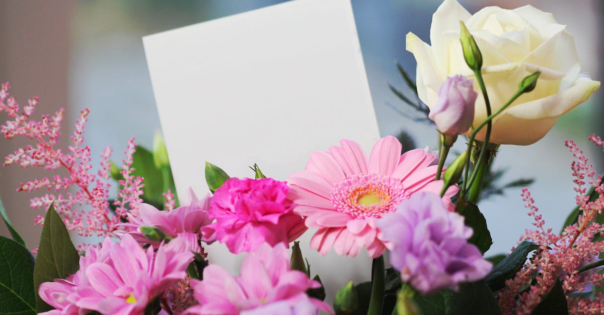 What is this message when somebody wants to send gift money with my item? - White Rose and Pink Daisy