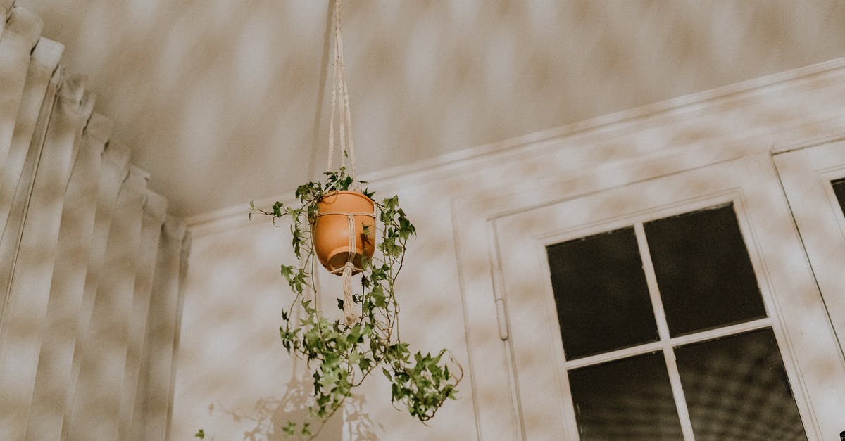 What is this thing on the corner of the screen? - Flower Pot Hanging from Ceiling What is this thing on the corner of the screen? - Flower Pot Hanging from Ceiling