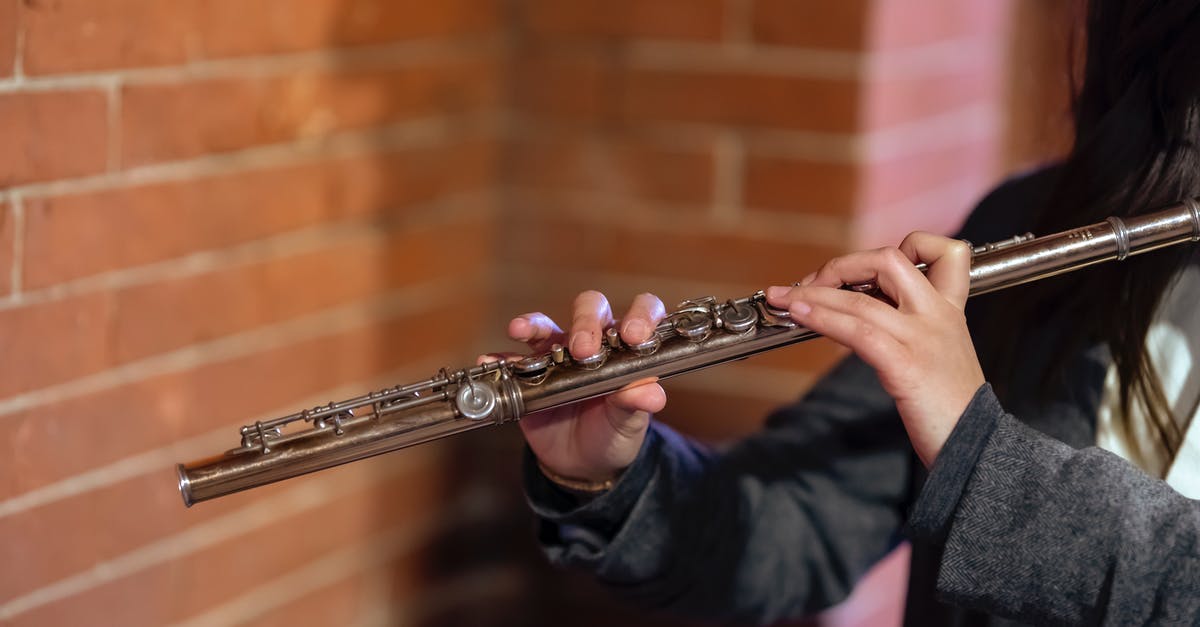 What key do I press to turn on "Extra Lights" on ETS2? - Crop unrecognizable female musician pressing keys on flute while performing melody on street against brick wall What key do I press to turn on "Extra Lights" on ETS2? - Crop unrecognizable female musician pressing keys on flute while performing melody on street against brick wall