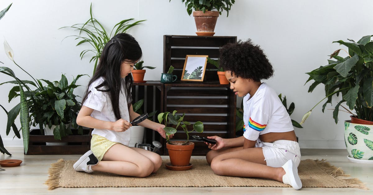 What kind of environment spawns the various starter pokemon? - Side view of multiethnic kind girls with magnifier and pruning shear growing green potted plant while sitting on carpet in modern room What kind of environment spawns the various starter pokemon? - Side view of multiethnic kind girls with magnifier and pruning shear growing green potted plant while sitting on carpet in modern room