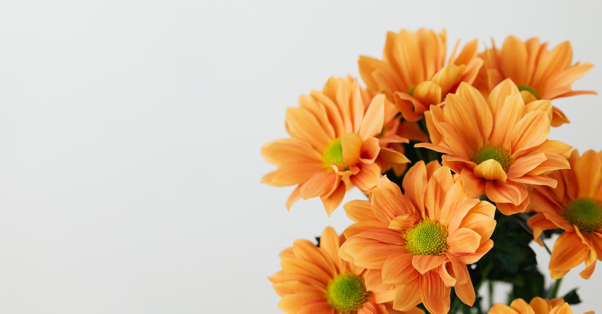 What kinds of explosive environment objects are there and what are their attributes? - Still life of bunch of natural orange transvaal daisy flowers placed on white background