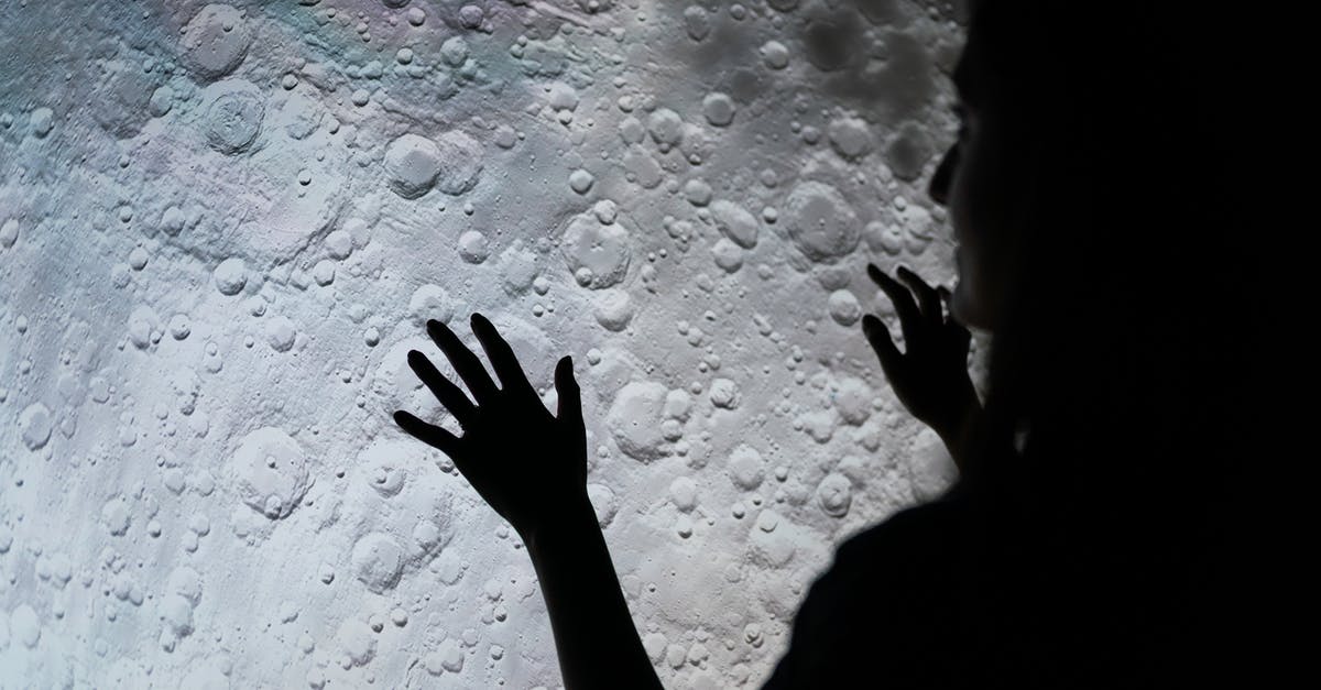 What language is Space Engineers programmed in? - Woman Studying Moon Surface