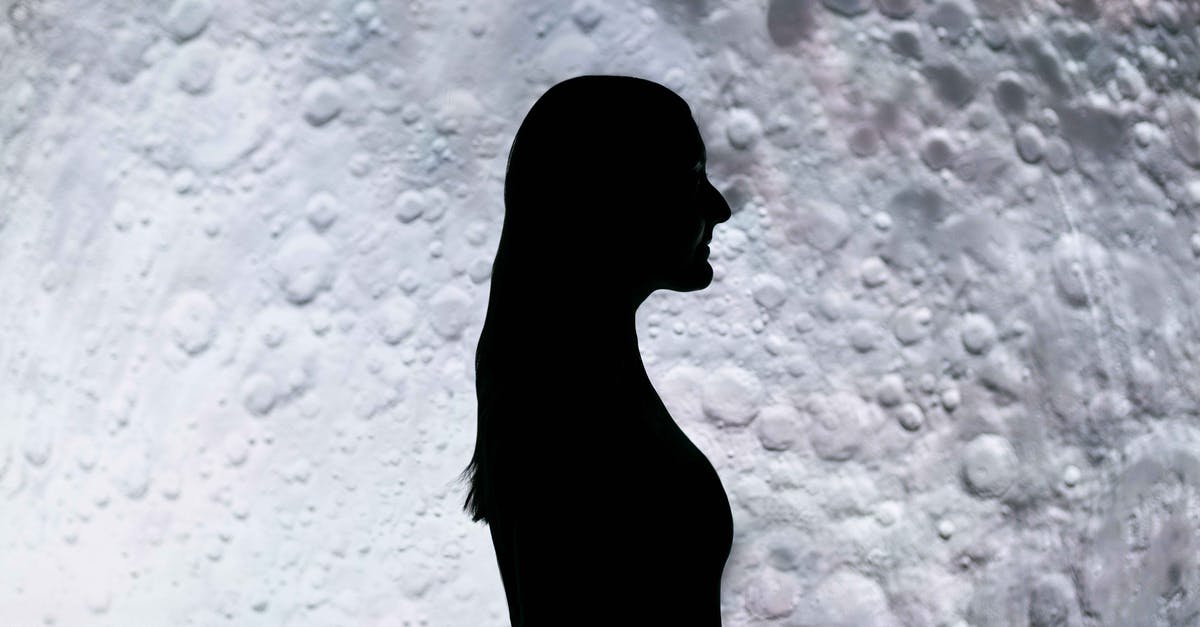 What language is Space Engineers programmed in? - Silhouette Of Woman Standing 