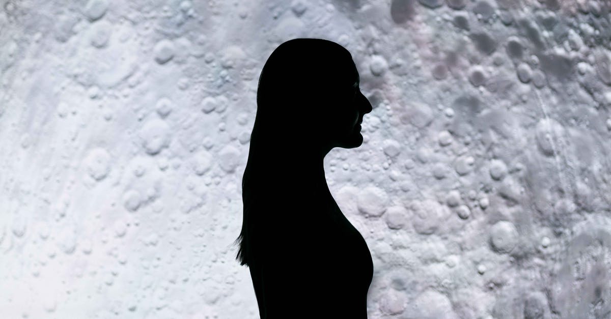 What language is Space Engineers programmed in? - Silhouette Of Woman Standing What language is Space Engineers programmed in? - Silhouette Of Woman Standing