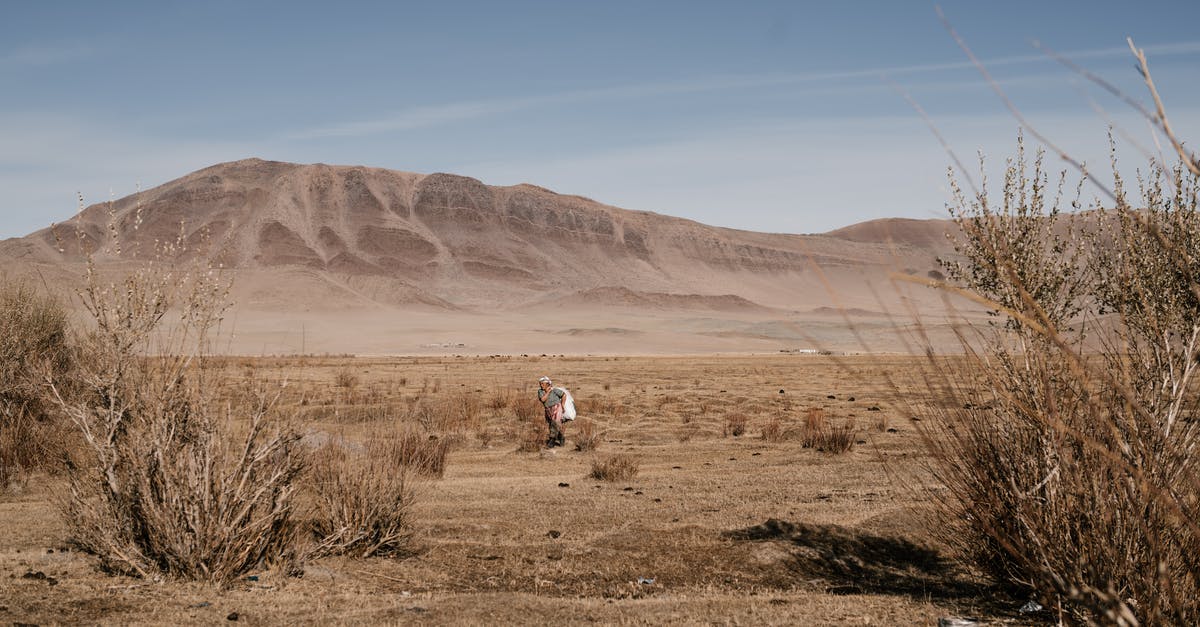 What makes possible to move through foreign territories while you do not have military access? - Woman walking along steppe in sunny day