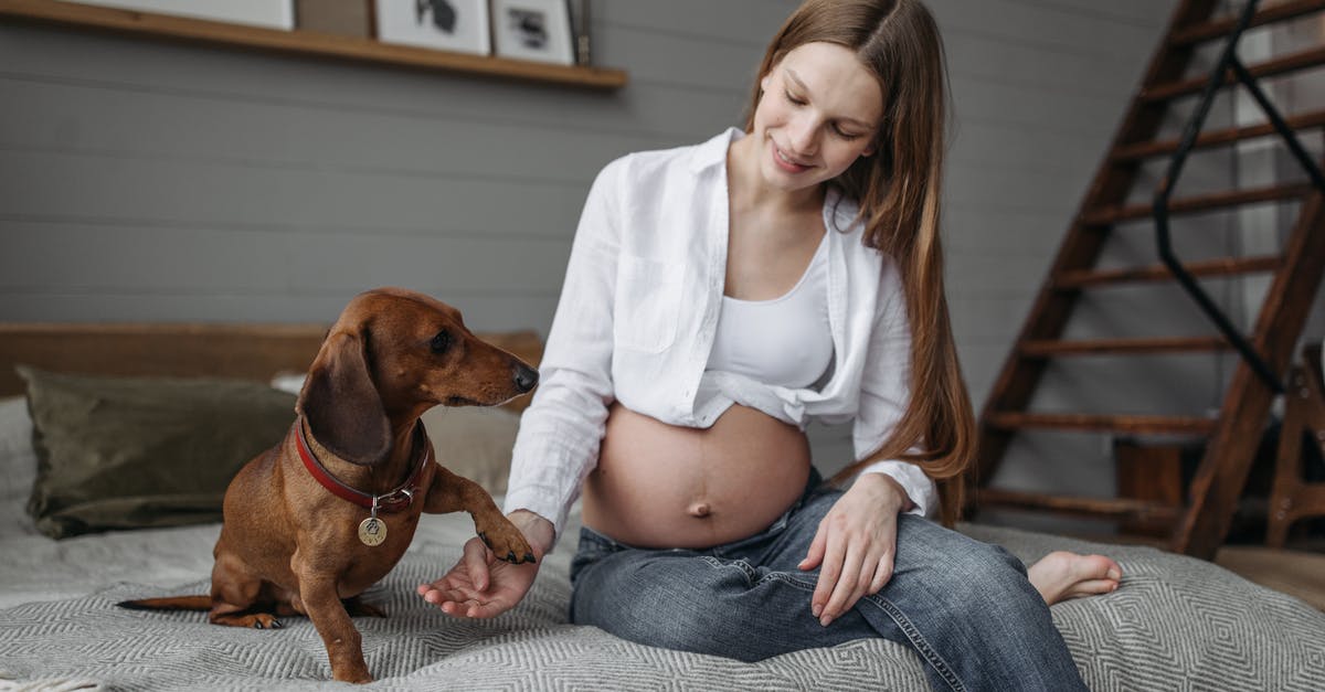 What purple spider-like pet is this in Oldschool Runescape? - Free stock photo of activities for pregnant women, adult, aerobics What purple spider-like pet is this in Oldschool Runescape? - Free stock photo of activities for pregnant women, adult, aerobics