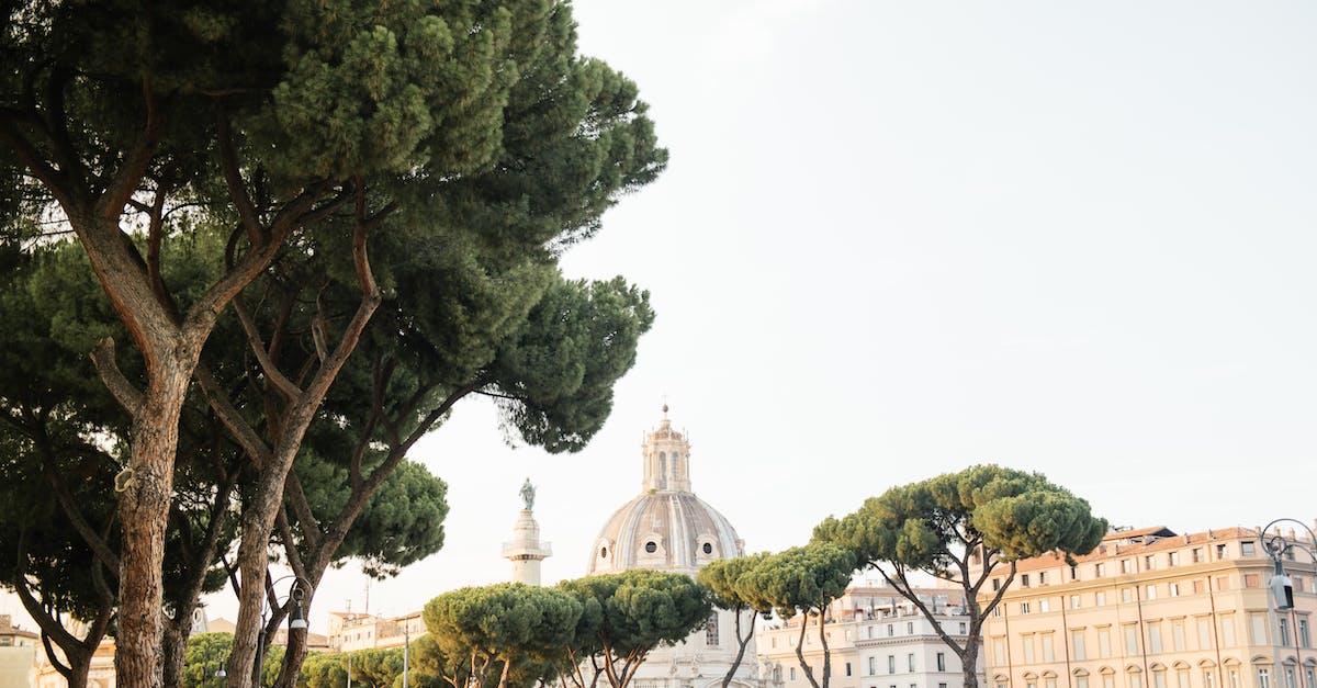 What purpose does Ancient Watcher serve? - Green Trees Near White Concrete Building What purpose does Ancient Watcher serve? - Green Trees Near White Concrete Building