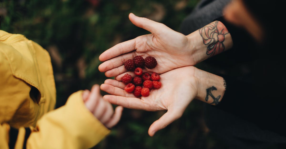 What should I pick from Chest of Loyalty? - From above of crop anonymous person demonstrating handful of ripe sweet raspberry in garden in daylight